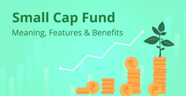 Small Cap Mutual Funds